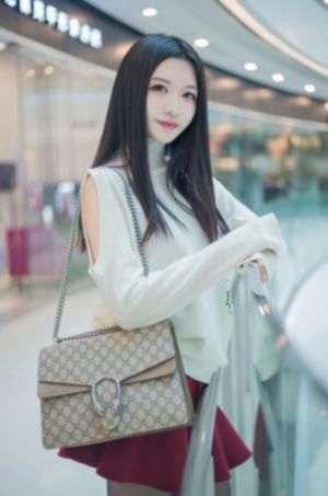 变形金刚超能勇士崛起免费观看_BD完整视频观看